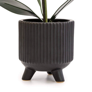 Black Orchid in Matte Black Ceramic Footed Pot 42cm 1PK - Hstrends