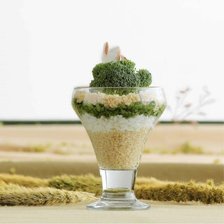 305ml Clear Frosty Glass Ice Cream Bowls - Pack of Six