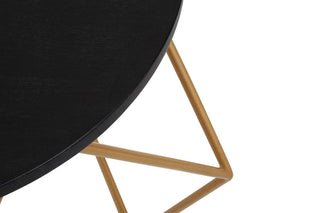 Varana Round Marble Top Coffee Table With Gold Finish Frame