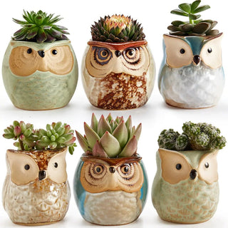 6 - Piece Owl Pot Ceramic Glaze Base Set - Hstrends