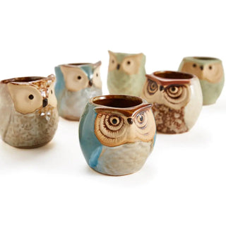 6 - Piece Owl Pot Ceramic Glaze Base Set - Hstrends