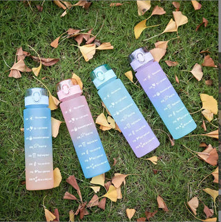 Gradient Large Capacity Hydration Reminder Bottle 3 bottles set.