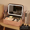 【Large Light Pink】Full Screen Mirror + LED Light Ring