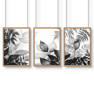 Bathroom Wall Prints | Set of 3 Botanical Wall art Prints - Hstrends