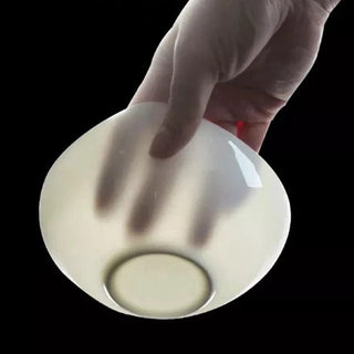 Carrara Bone China Dinner Set - 16 | 24 Piece - Hstrends