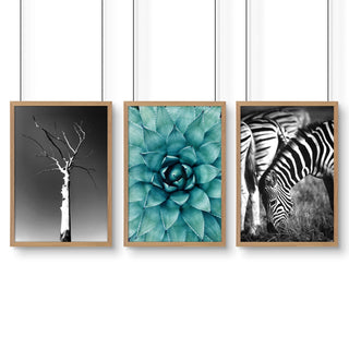 Large Picture Living Room | Set of 3 African Wildlife Wall art Prints - Hstrends