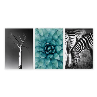 Large Picture Living Room | Set of 3 African Wildlife Wall art Prints - Hstrends