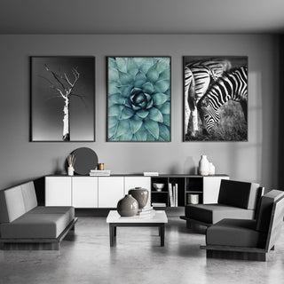 Large Picture Living Room | Set of 3 African Wildlife Wall art Prints - Hstrends
