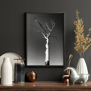 Large Picture Living Room | Set of 3 African Wildlife Wall art Prints - Hstrends