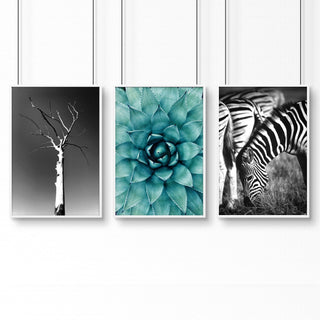 Large Picture Living Room | Set of 3 African Wildlife Wall art Prints - Hstrends
