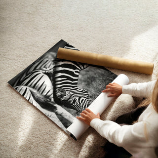 Large Picture Living Room | Set of 3 African Wildlife Wall art Prints - Hstrends