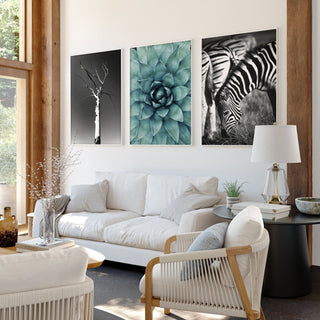 Large Picture Living Room | Set of 3 African Wildlife Wall art Prints - Hstrends
