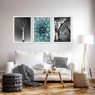 Large Picture Living Room | Set of 3 African Wildlife Wall art Prints - Hstrends