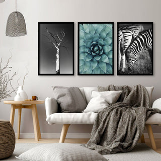 Large Picture Living Room | Set of 3 African Wildlife Wall art Prints - Hstrends