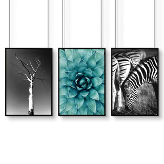 Large Picture Living Room | Set of 3 African Wildlife Wall art Prints - Hstrends