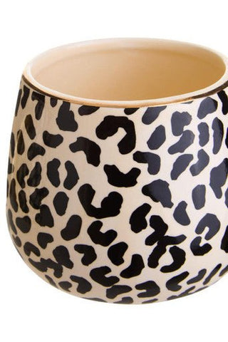 London Leo Set Of Two Mugs - Hstrends