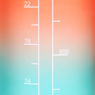 Phoenix Hydration Reminder Bottle 1000ml - Hstrends