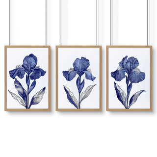 Prints For Bathroom | Set of 3 Botanical Wall art Prints - Hstrends