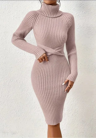 CozyFit High Collar Slim Knit Dress - Hstrends