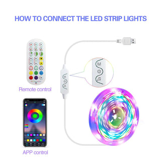 Smart LED RGBIC Dream Color Strip Light with Music Sync - Hstrends
